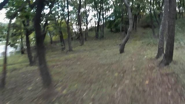 тропинки по городу