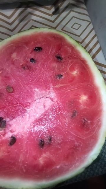 Арбуз 🍉