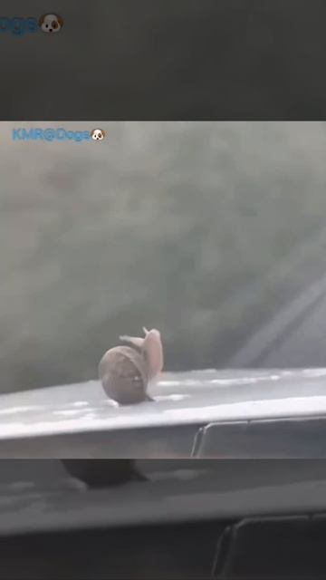 ЮМОР