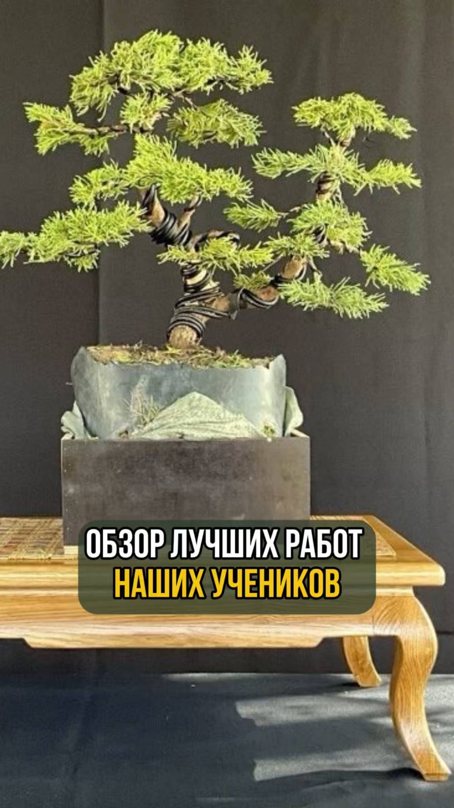 Обзор лучших работ наших учеников