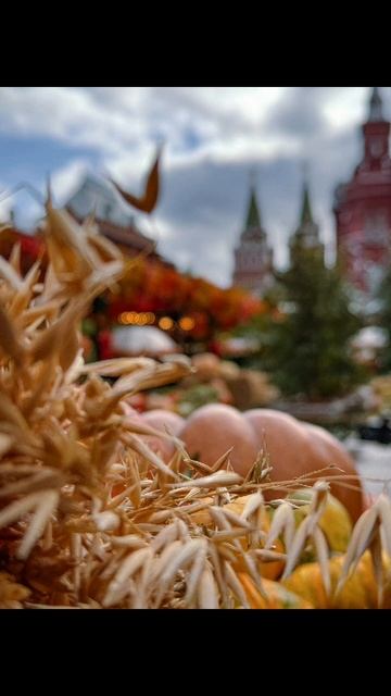 Осенняя красота в центре  Москвы.