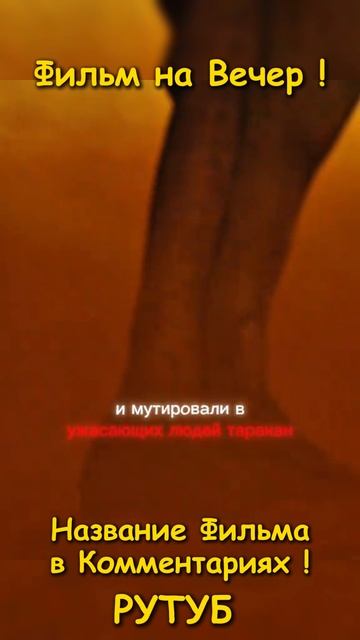 Фильм на вечер