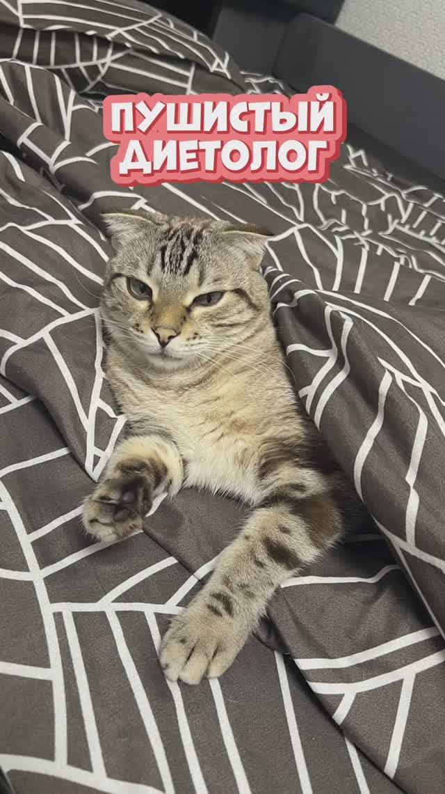 Не указывай мне 😀😛