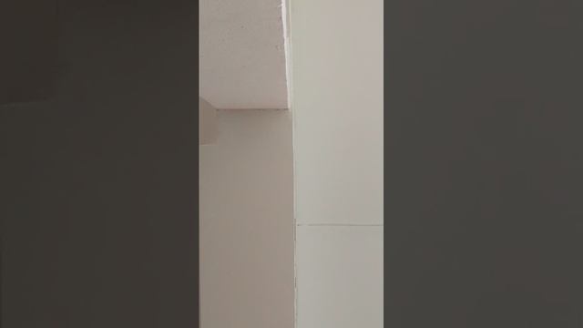 Стрим в школе