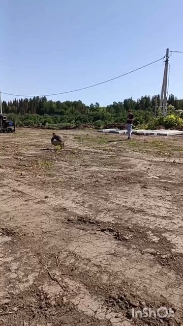 Строим А- фреймы  Строительство каркасных домов Строительство бань  Пермь Волгоград  Волжский