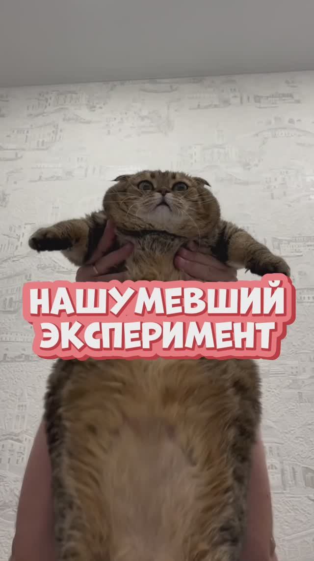 Вы проводили эксперимент такой?😀