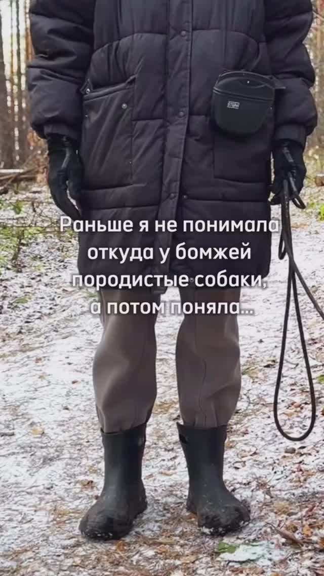 Откуда у бомжей собаки