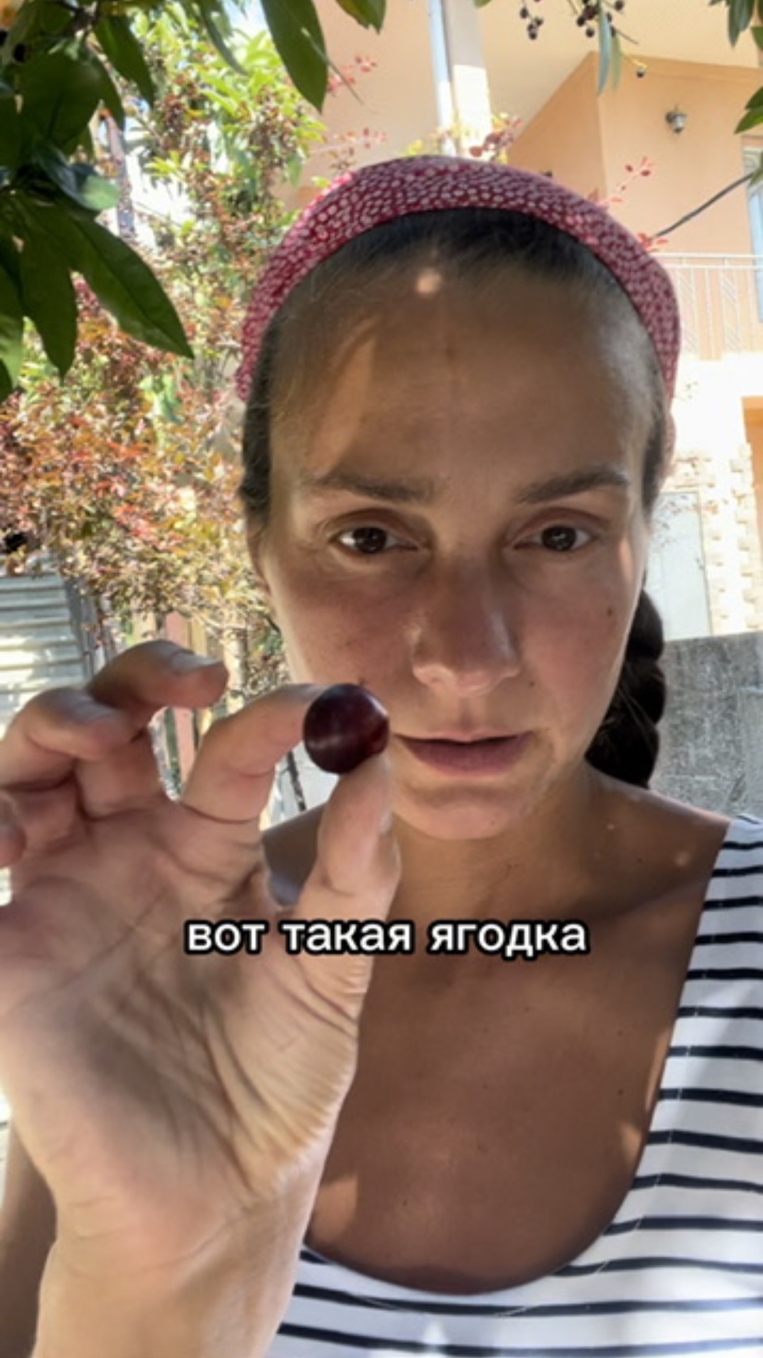 ЛАВРОВИШНЯ В АБХАЗИИ