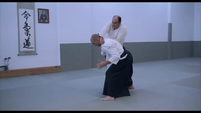 Leonardo Sodré - Ryokata Dori Aiki Otoshi