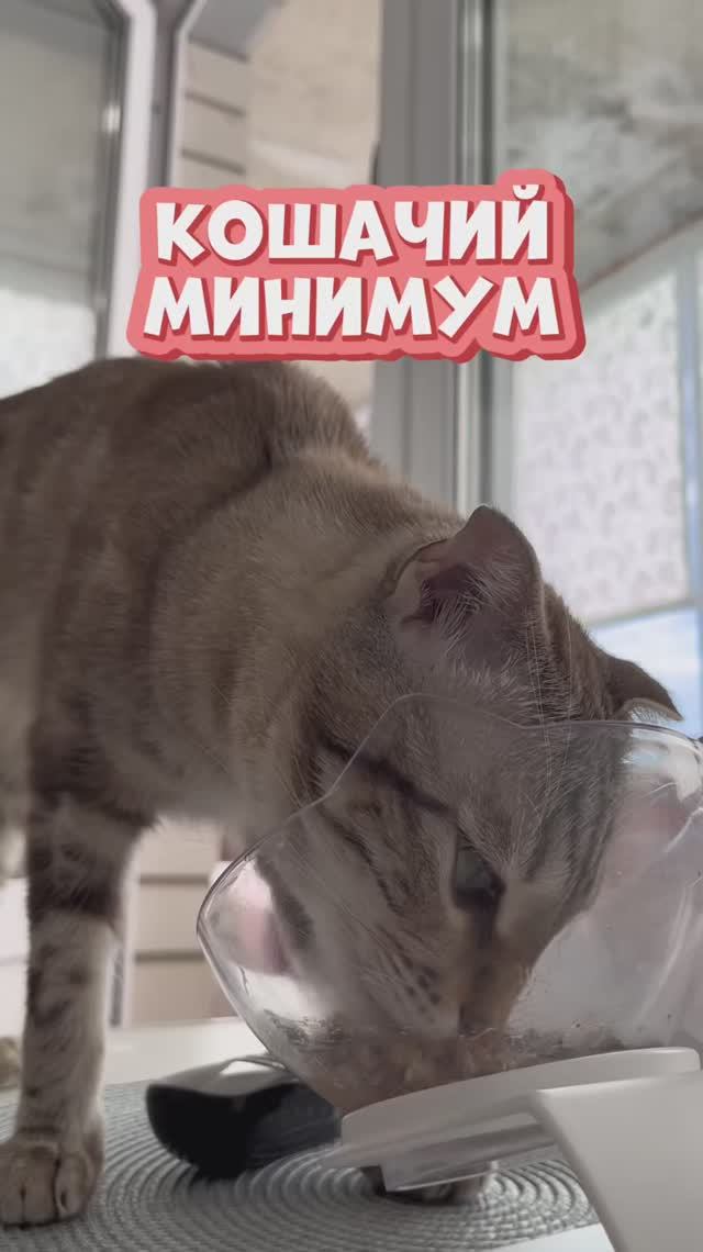 Как вам трек?🙌
