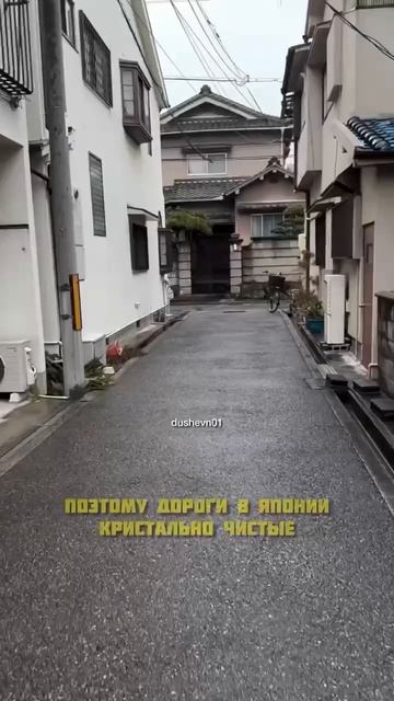Япония