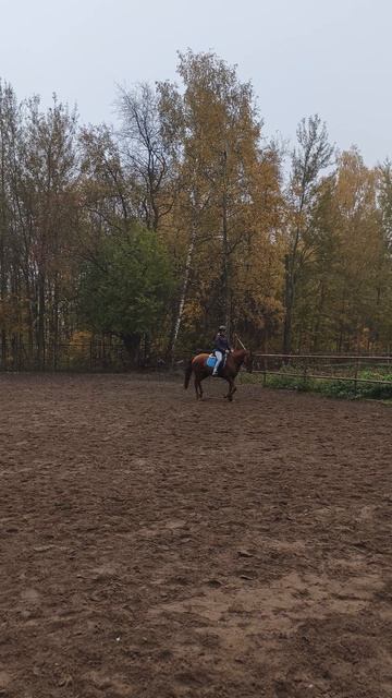 Оксана Новикова и Эмбер Грейс Кас, работа над балансом и аллюрами, на плацу.