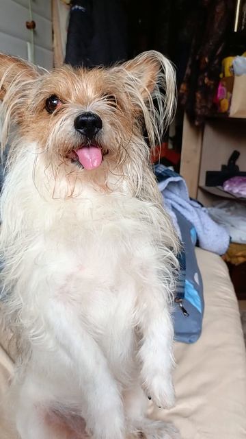 e3576bce-5d7c-46b0-a6b9-ac6b657c20af-1_all_472.mp4