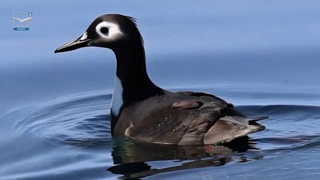 "Художественная фабрика"