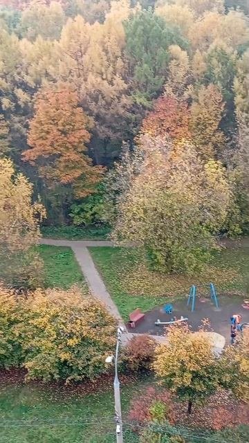 09.10.25. красавица осень🍁, окончательно вступила в свои права