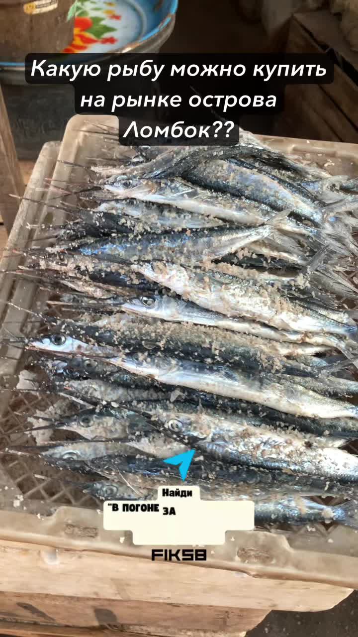 Какую рыбу можно купить на острове Ломбок?