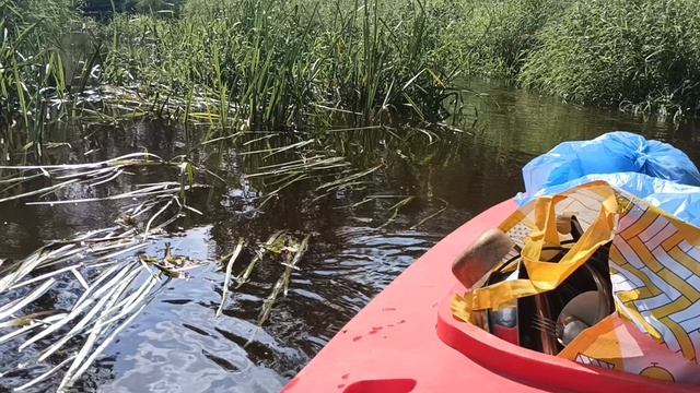 это река Вольга