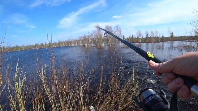 Язя случайно нашёл на трубе перед рекой Ламбадой Полное видео.