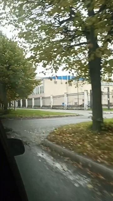 Сегодня твой день