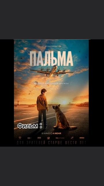 я правда из за него плакалафильмроблокспальма