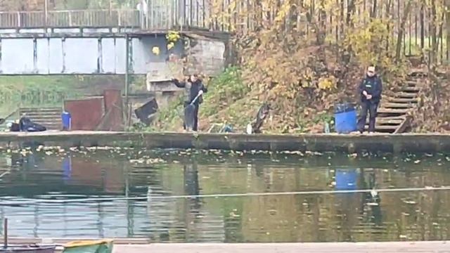 Серый мост