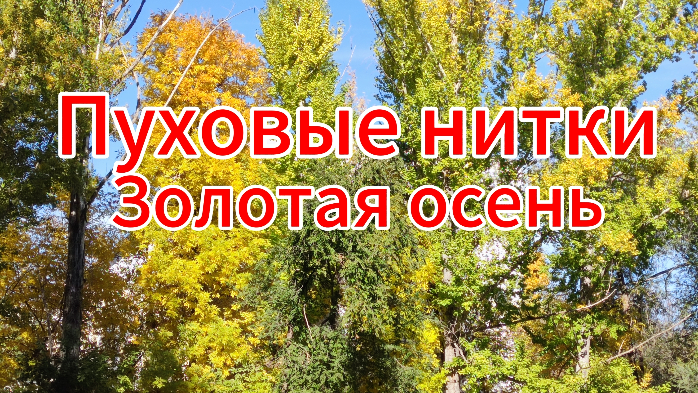Купила оренбургские пуховые ниткиВпечатление о коврикеЗолотая осень