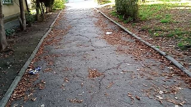 Кисловодск изнутри! ул. Губина. 9.10.2025 г.