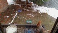 у нас праздник