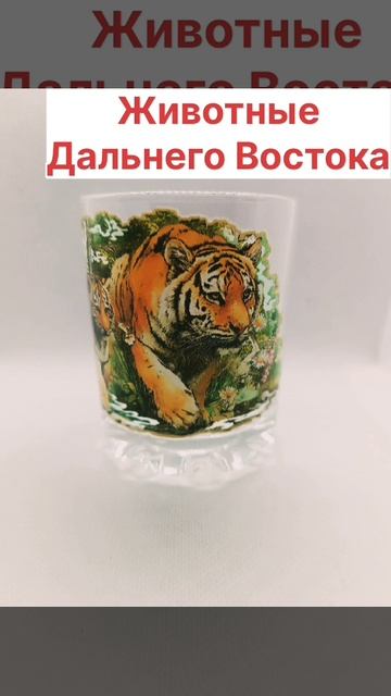 Стаканы Хабаровск