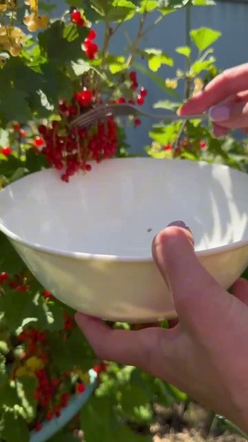 Очередной классный лайфхак