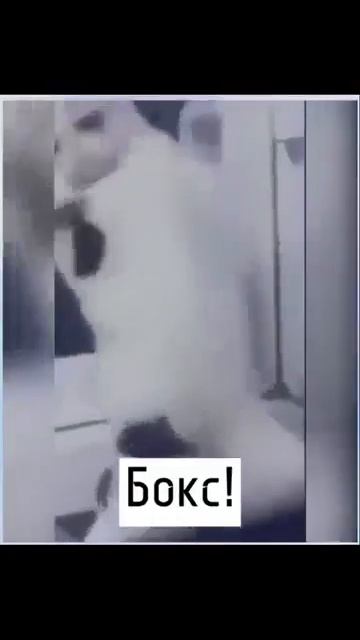 Видео от МЭН - Мне Это Нравится