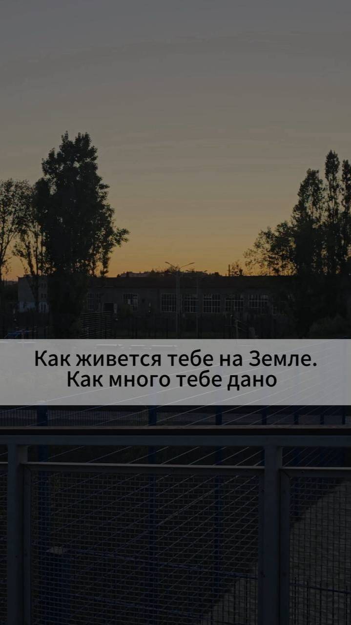 Как живется тебе на Земле. Как много тебе дано