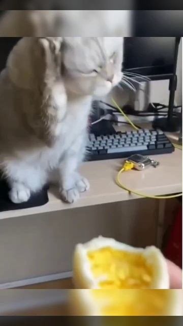 так мило