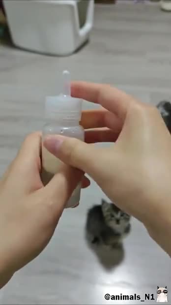 успокойся, приятель