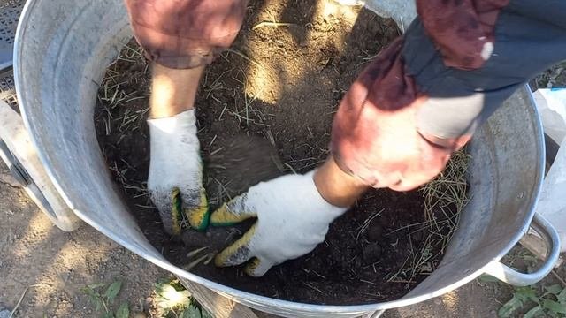 Как сделать грунт для комнатной теплицы