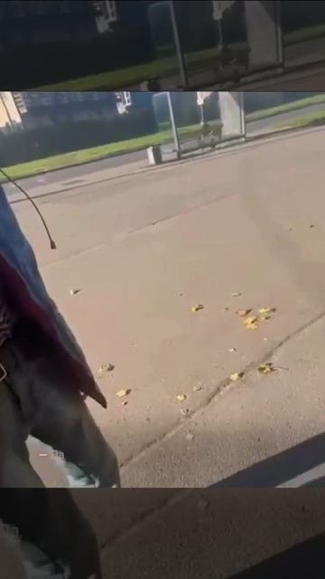 Девочка хорошо схитрила.Дед пытался завлечь её несколько раз,но девочка оказалась умнее.