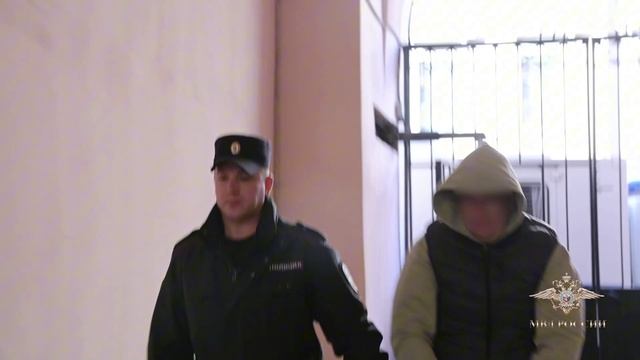 Ирина Волк: Полицейские Санкт-Петербурга пресекли деятельность масштабной финансовой пирамиды