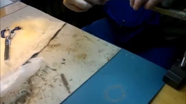 МУХА ЖЕРЕХОВАЯ