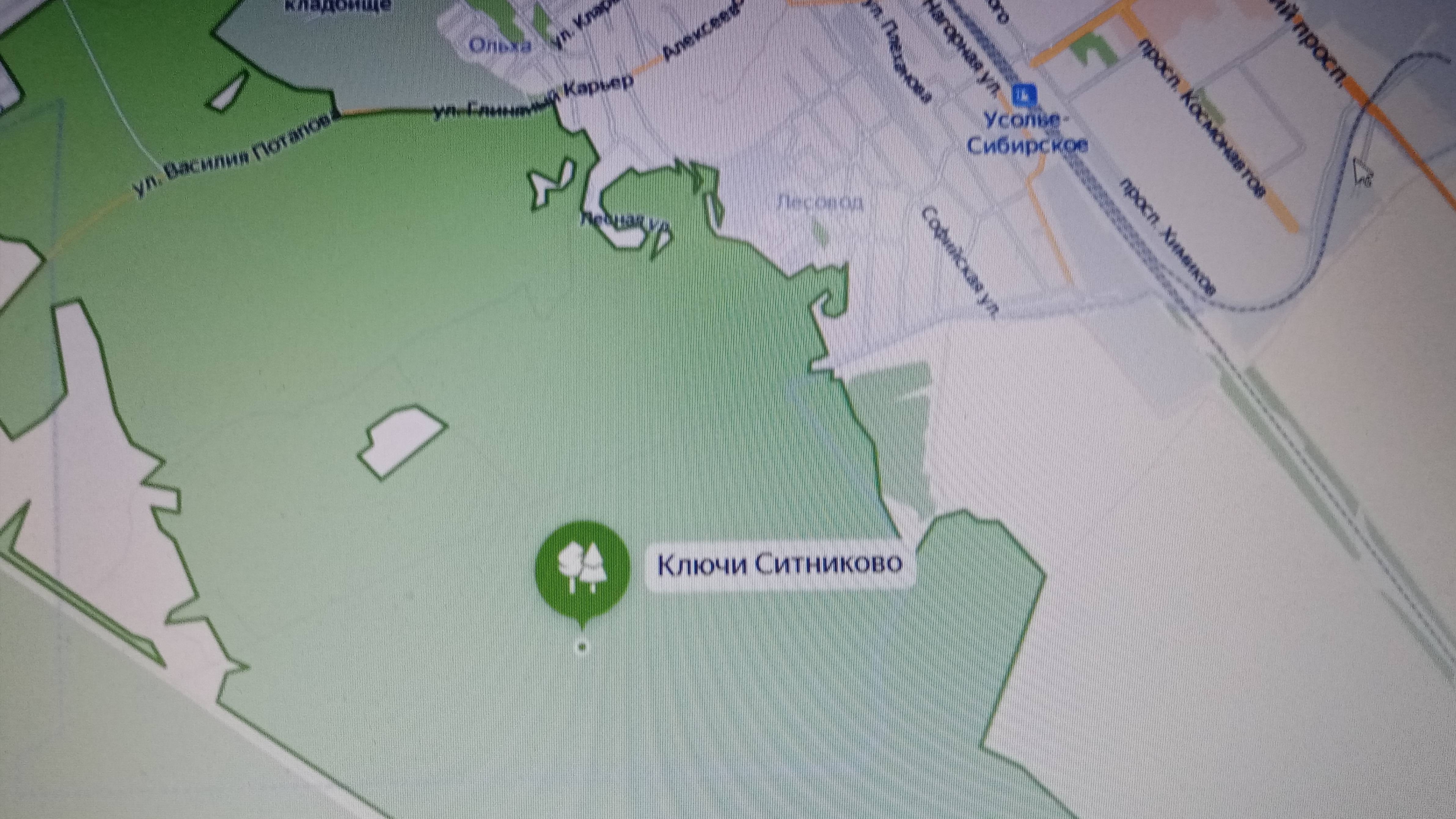 Ситниково