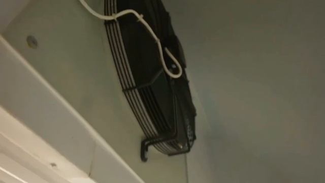 Очистка и заморозка ягоды 89193397979