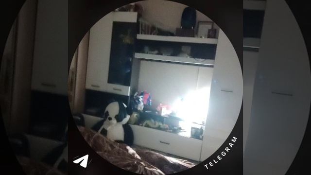 1000090338.mp4