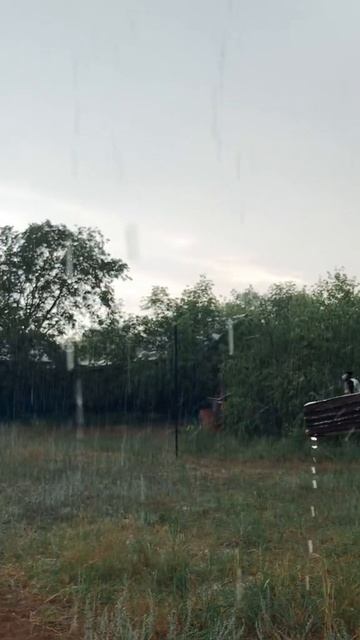 Шашлыку быть даже в дождь