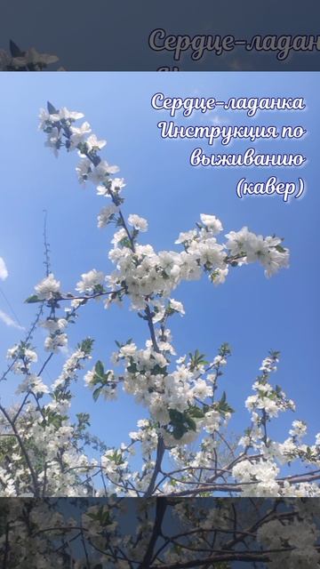 Сердце-ладанка - Инструкция по выживанию кавер