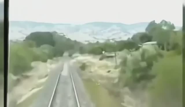 Нечто Перебегающее Дорогу