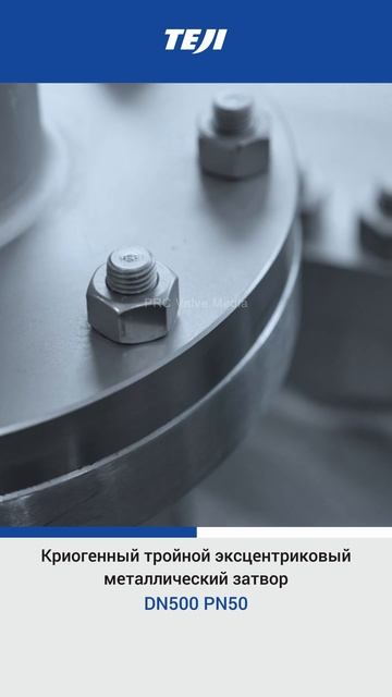 DN500 PN50 Криогенный тройной эксцентриковый металлический затвор