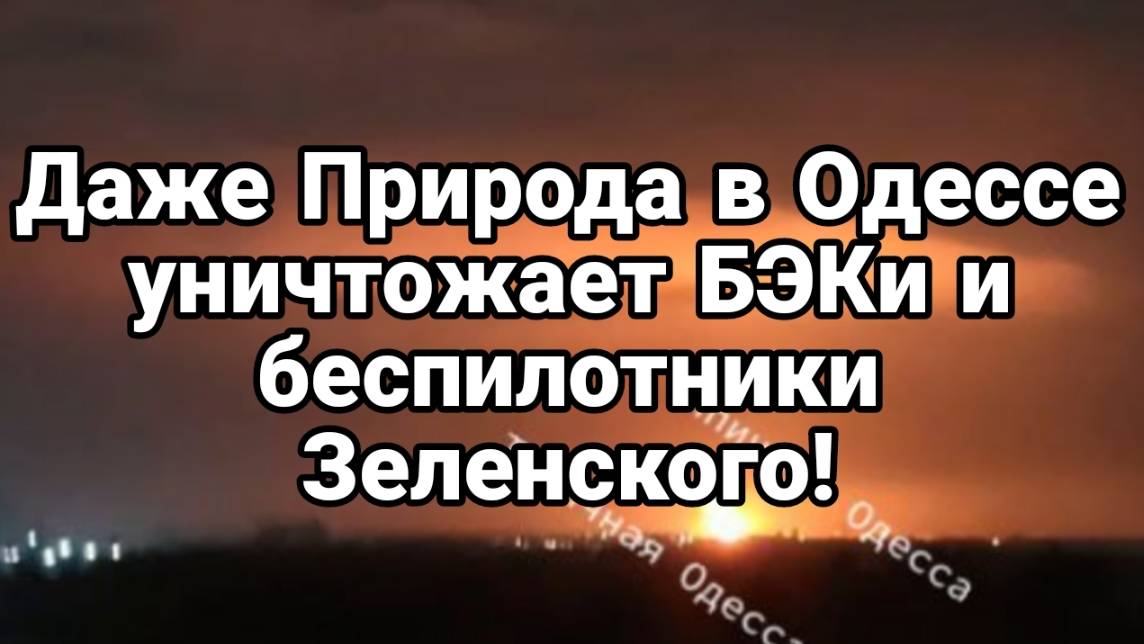 ТАМИР ШЕЙХ / НЕВЕРОЯТНОЕ УНИЧТОЖЕНИЕ. новости сводки