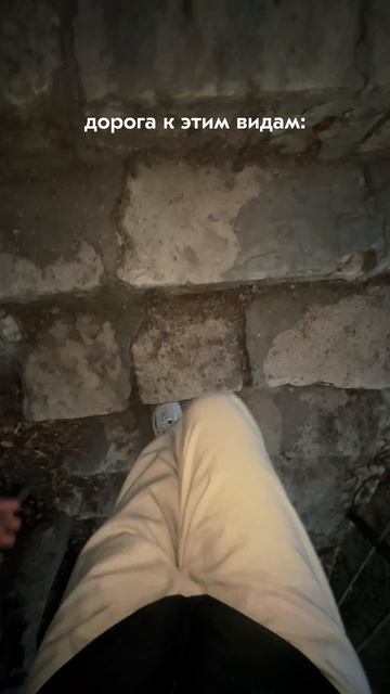 Виды в Крыму Vs дорога к этим видам🤭😂
