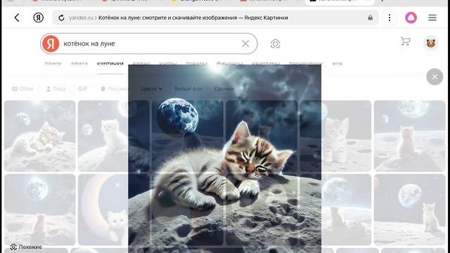 котёнок с луны