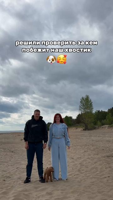 КТО ОСНОВНОЙ ХОЗЯИН ? 