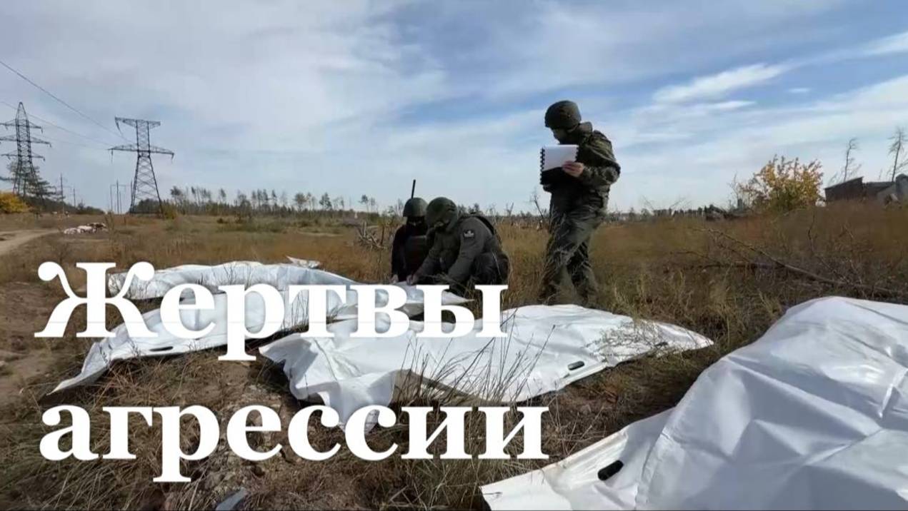 В Северодонецке найдены останки 13 мирных жителей, ставших жертвами украинской агрессии